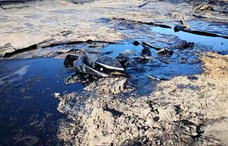 20240429/662f222b417ea.png 圖片1.png