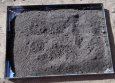 20240826/66cc289b2dfd1.png image.png