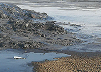 含油污泥處理難，原因何在？